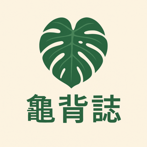 龜背誌